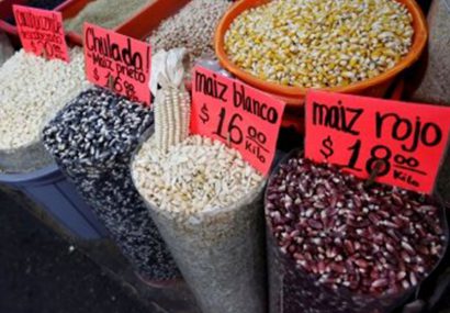 صعود شاخص قیمت جهانی مواد غذایی