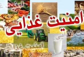 امنیت غذایی در ایران؛ چالش‌های پیش‌رو و راهکارهای رسیدن به ثبات