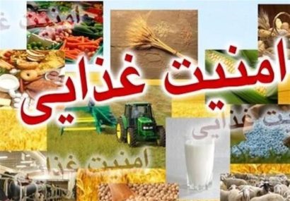 امنیت غذایی در ایران؛ چالش‌های پیش‌رو و راهکارهای رسیدن به ثبات