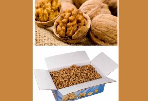 شکست تابوی واردات گردو شکست تابوی واردات گردو