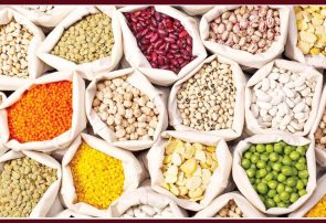 ثبات بازار حبوبات با ثبت سفارش ۳۰ هزار تنی/ کاهش فشار قیمتی در ماههای آتی ثبات بازار حبوبات با ثبت سفارش ۳۰ هزار تنی/ کاهش فشار قیمتی در ماههای آتی