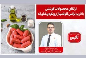 ارتقای محصولات گوشتی با آنزیم ترانسگلوتامیناز؛رویکردی فناورانه ارتقای محصولات گوشتی با آنزیم ترانسگلوتامیناز؛رویکردی فناورانه