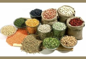 ۳۰ درصد حبوبات از طریق واردات تامین می‌شود / قیمت حبوبات کاهشی شد