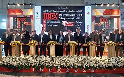 پایداری زنجیره گندم اولویت شرکت بازرگانی دولتی ایران