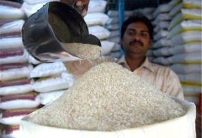 هشدار درباره بحران در بازار برنج؛ تأخیر در واردات و بی‌توجهی به بخش خصوصی امنیت غذایی را تهدید می‌کند