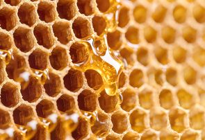 ایران؛ چهارمین تولیدکننده عسل طبیعی در جهان