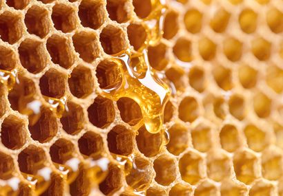 ایران؛ چهارمین تولیدکننده عسل طبیعی در جهان