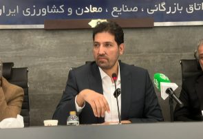 عزیزپور: تأمین پایدار مواد اولیه و صیانت از معیشت مردم ضرورت دارد
