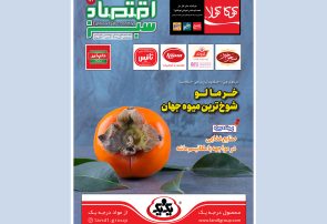 پرونده ویژه اسنپ‌بک در شماره جدید اقتصاد سبز؛ چالش‌ها و راهکارهای تولید ملی