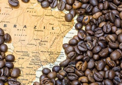طعم قهوه برزیل متفاوت می‌شود