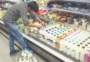 گرانی علوفه و افت تولید؛ سرنوشت لبنیات چه می‌شود؟