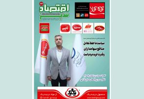 «اقتصادسبز» آذرماه و اصلاح قانون صدور نظام پروانه‌های صنایع غذایی