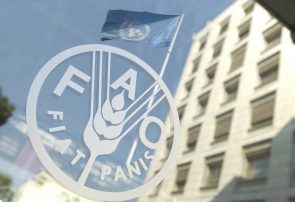 قیمت جهانی مواد غذایی کاهش بیشتری یافت