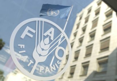 قیمت جهانی مواد غذایی کاهش بیشتری یافت