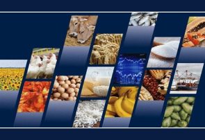 ثبت سفارش واردات ۶ محصول کارخانجات صنایع غذایی باز شد