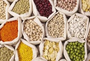 انحصار در واردات؛ قیمت حبوبات در ایران ۷ برابر قیمت جهانی است!