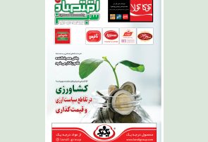 «اقتصادسبز» و روایت قانونگذارشدن مصرف کننده !