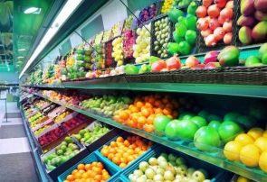 فرصت تاریخی ایران برای تبدیل شدن به هاب امنیت غذایی منطقه