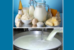 دومینوی بازار لبنیات و شیرخام به کجا رسید؟