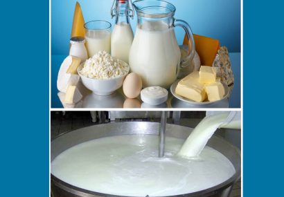 دومینوی بازار لبنیات و شیرخام به کجا رسید؟
