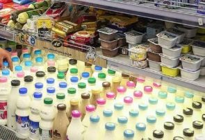 صادرات محصولات لبنی در حال انجام است