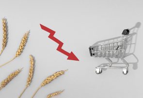 جایگاه بخش خصوصی در مدیریت زنجیره تامین غذا