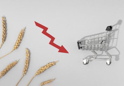 جایگاه بخش خصوصی در مدیریت زنجیره تامین غذا