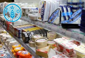 قیمت جهانی غذا در اوج ۳ ساله ماند
